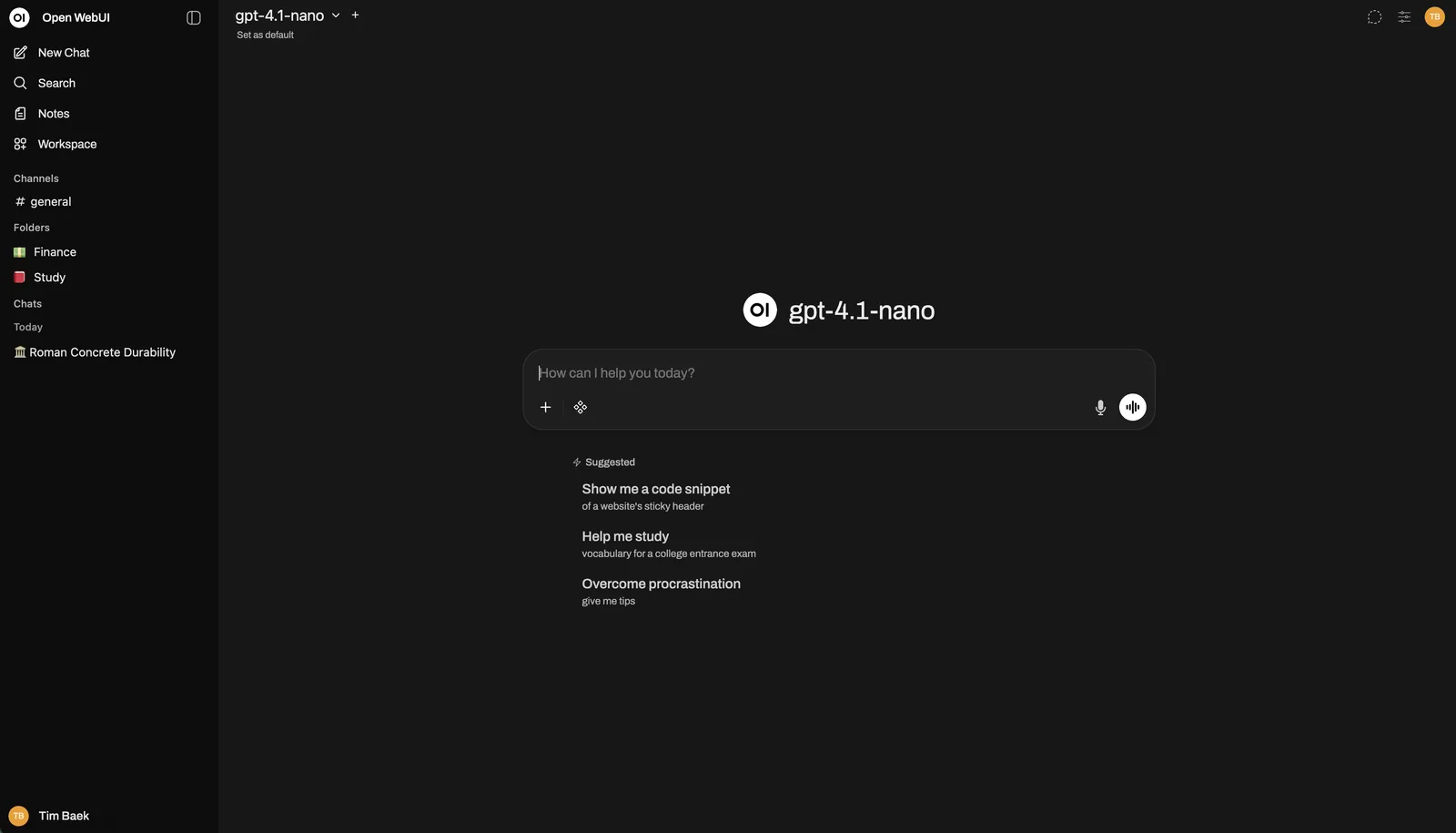The Open WebUI interface
